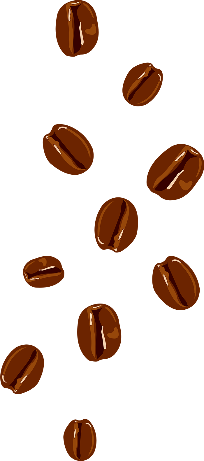 coffee beans